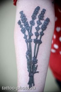 фото тату лаванда 24.12.2018 №117 - photo tattoo lavender - tattoo-photo.ru