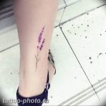фото тату лаванда 24.12.2018 №118 - photo tattoo lavender - tattoo-photo.ru