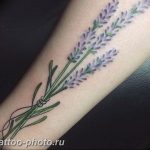 фото тату лаванда 24.12.2018 №129 - photo tattoo lavender - tattoo-photo.ru