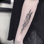 фото тату лаванда 24.12.2018 №133 - photo tattoo lavender - tattoo-photo.ru
