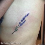 фото тату лаванда 24.12.2018 №143 - photo tattoo lavender - tattoo-photo.ru