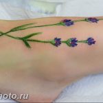 фото тату лаванда 24.12.2018 №144 - photo tattoo lavender - tattoo-photo.ru