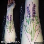 фото тату лаванда 24.12.2018 №145 - photo tattoo lavender - tattoo-photo.ru