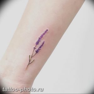 фото тату лаванда 24.12.2018 №151 - photo tattoo lavender - tattoo-photo.ru