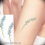 фото тату лаванда 24.12.2018 №161 - photo tattoo lavender - tattoo-photo.ru