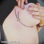 фото тату лаванда 24.12.2018 №169 - photo tattoo lavender - tattoo-photo.ru