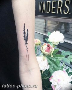 фото тату лаванда 24.12.2018 №173 - photo tattoo lavender - tattoo-photo.ru