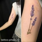 фото тату лаванда 24.12.2018 №176 - photo tattoo lavender - tattoo-photo.ru