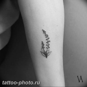 фото тату лаванда 24.12.2018 №179 - photo tattoo lavender - tattoo-photo.ru