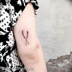 фото тату лаванда 24.12.2018 №189 - photo tattoo lavender - tattoo-photo.ru