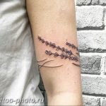 фото тату лаванда 24.12.2018 №191 - photo tattoo lavender - tattoo-photo.ru