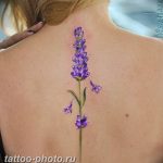 фото тату лаванда 24.12.2018 №192 - photo tattoo lavender - tattoo-photo.ru