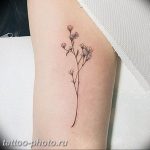 фото тату лаванда 24.12.2018 №195 - photo tattoo lavender - tattoo-photo.ru