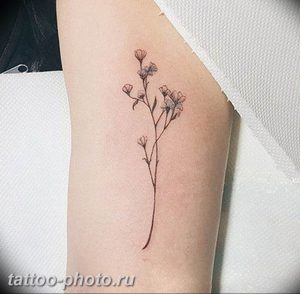 фото тату лаванда 24.12.2018 №195 - photo tattoo lavender - tattoo-photo.ru