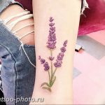 фото тату лаванда 24.12.2018 №199 - photo tattoo lavender - tattoo-photo.ru