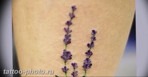фото тату лаванда 24.12.2018 №209 - photo tattoo lavender - tattoo-photo.ru