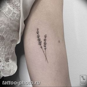 фото тату лаванда 24.12.2018 №210 - photo tattoo lavender - tattoo-photo.ru