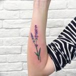 фото тату лаванда 24.12.2018 №222 - photo tattoo lavender - tattoo-photo.ru