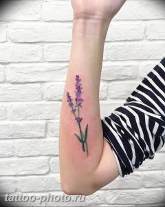 фото тату лаванда 24.12.2018 №222 - photo tattoo lavender - tattoo-photo.ru