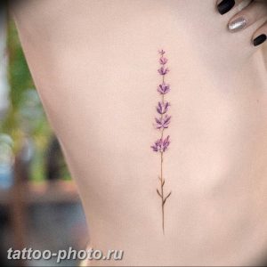 фото тату лаванда 24.12.2018 №223 - photo tattoo lavender - tattoo-photo.ru