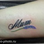 фото тату лаванда 24.12.2018 №225 - photo tattoo lavender - tattoo-photo.ru