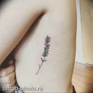 фото тату лаванда 24.12.2018 №226 - photo tattoo lavender - tattoo-photo.ru