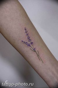 фото тату лаванда 24.12.2018 №242 - photo tattoo lavender - tattoo-photo.ru