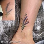 фото тату лаванда 24.12.2018 №257 - photo tattoo lavender - tattoo-photo.ru