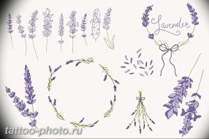фото тату лаванда 24.12.2018 №259 - photo tattoo lavender - tattoo-photo.ru