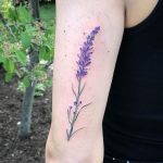 фото тату лаванда 24.12.2018 №266 - photo tattoo lavender - tattoo-photo.ru