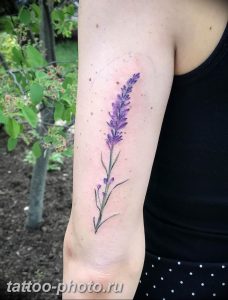 фото тату лаванда 24.12.2018 №266 - photo tattoo lavender - tattoo-photo.ru