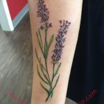 фото тату лаванда 24.12.2018 №273 - photo tattoo lavender - tattoo-photo.ru