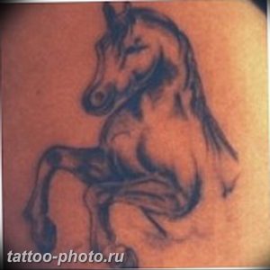 фото тату лошадь 24.12.2018 №002 - photo horse tattoo - tattoo-photo.ru