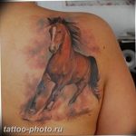 фото тату лошадь 24.12.2018 №003 - photo horse tattoo - tattoo-photo.ru