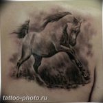 фото тату лошадь 24.12.2018 №005 - photo horse tattoo - tattoo-photo.ru