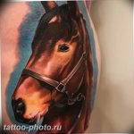 фото тату лошадь 24.12.2018 №010 - photo horse tattoo - tattoo-photo.ru