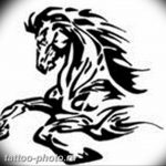 фото тату лошадь 24.12.2018 №012 - photo horse tattoo - tattoo-photo.ru