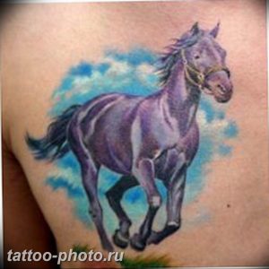 фото тату лошадь 24.12.2018 №013 - photo horse tattoo - tattoo-photo.ru