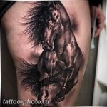фото тату лошадь 24.12.2018 №015 - photo horse tattoo - tattoo-photo.ru