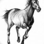 фото тату лошадь 24.12.2018 №019 - photo horse tattoo - tattoo-photo.ru