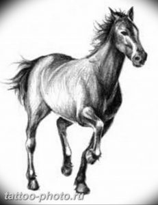 фото тату лошадь 24.12.2018 №019 - photo horse tattoo - tattoo-photo.ru