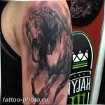фото тату лошадь 24.12.2018 №024 - photo horse tattoo - tattoo-photo.ru