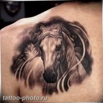 фото тату лошадь 24.12.2018 №026 - photo horse tattoo - tattoo-photo.ru