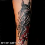 фото тату лошадь 24.12.2018 №027 - photo horse tattoo - tattoo-photo.ru