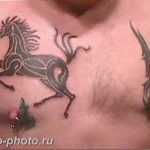 фото тату лошадь 24.12.2018 №040 - photo horse tattoo - tattoo-photo.ru