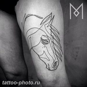 фото тату лошадь 24.12.2018 №041 - photo horse tattoo - tattoo-photo.ru