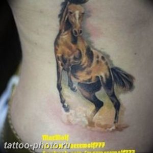 фото тату лошадь 24.12.2018 №045 - photo horse tattoo - tattoo-photo.ru
