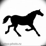 фото тату лошадь 24.12.2018 №051 - photo horse tattoo - tattoo-photo.ru