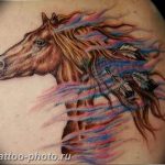 фото тату лошадь 24.12.2018 №054 - photo horse tattoo - tattoo-photo.ru