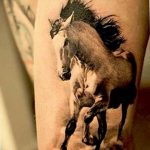 фото тату лошадь 24.12.2018 №059 - photo horse tattoo - tattoo-photo.ru